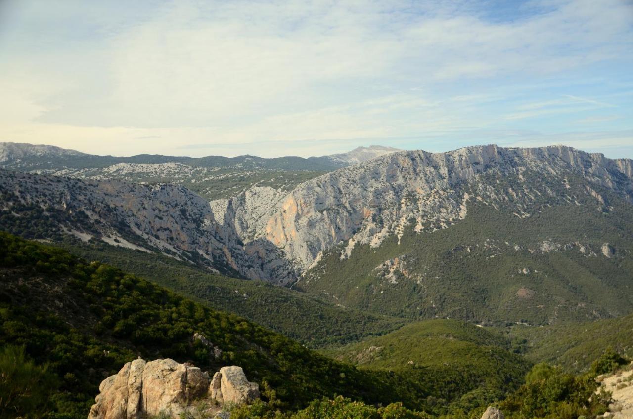 Casa Pilighitta Lägenhet Dorgali Exteriör bild